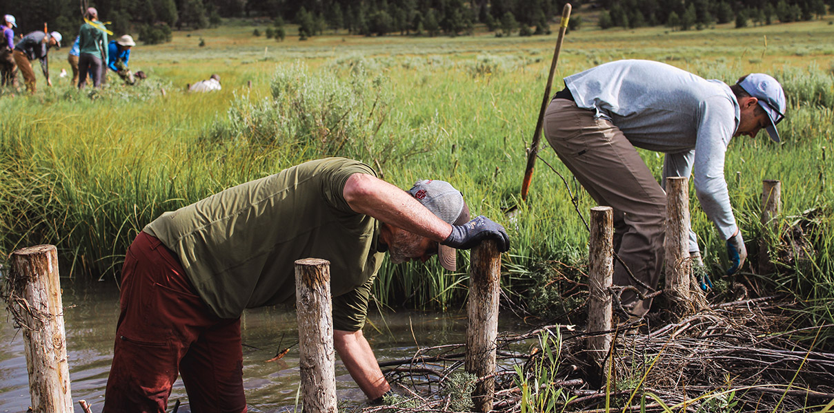 Crews improving habitat